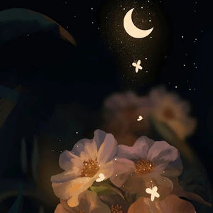 Meet your Posher, Sameeha